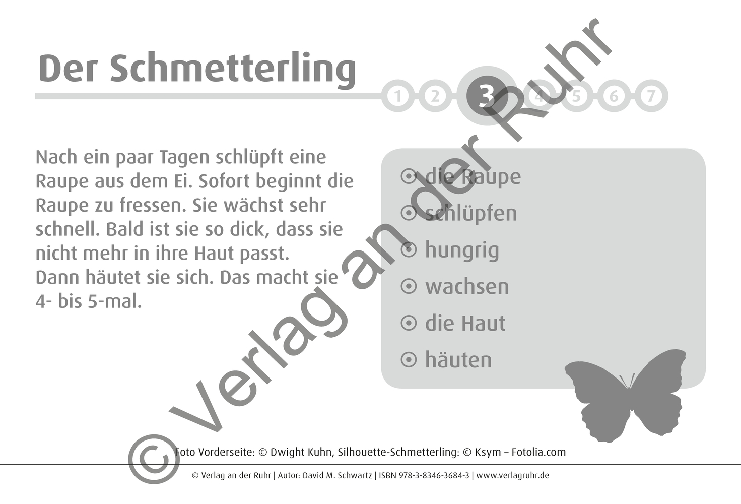 80 Bild-Impulse zu 11 Lebenszyklen 80 Bild-Impulse zu 11 Lebenszyklen
