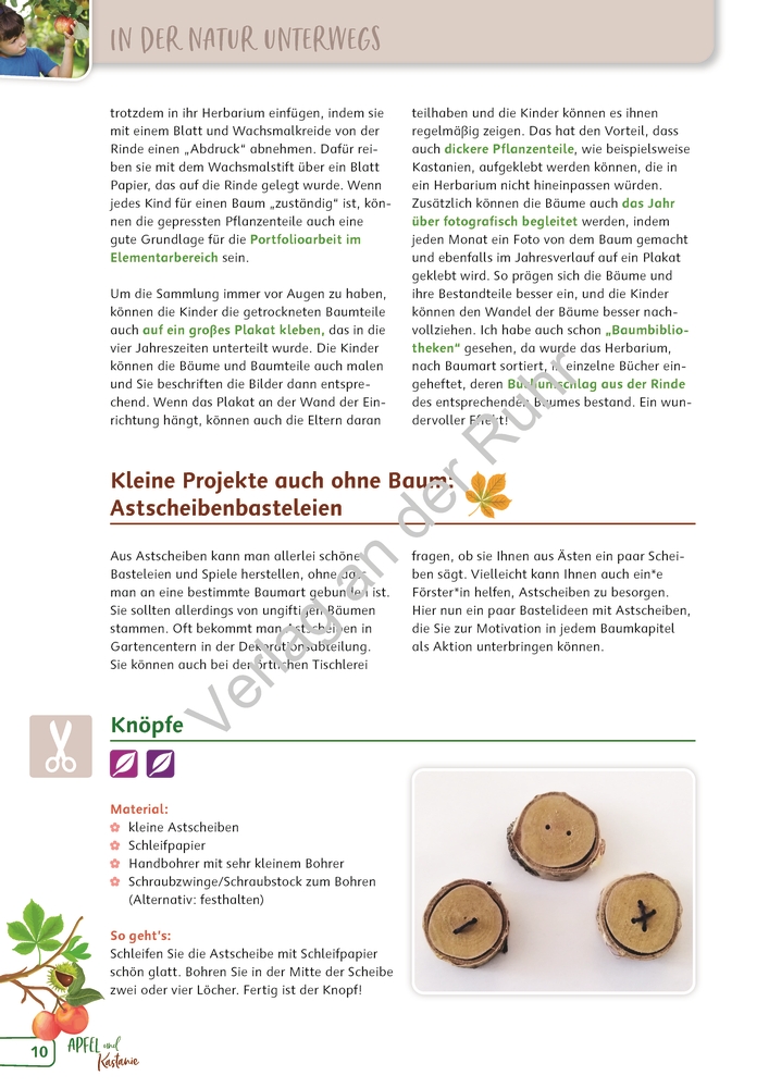 Paket: Heimische Bäume Paket: Heimische Bäume