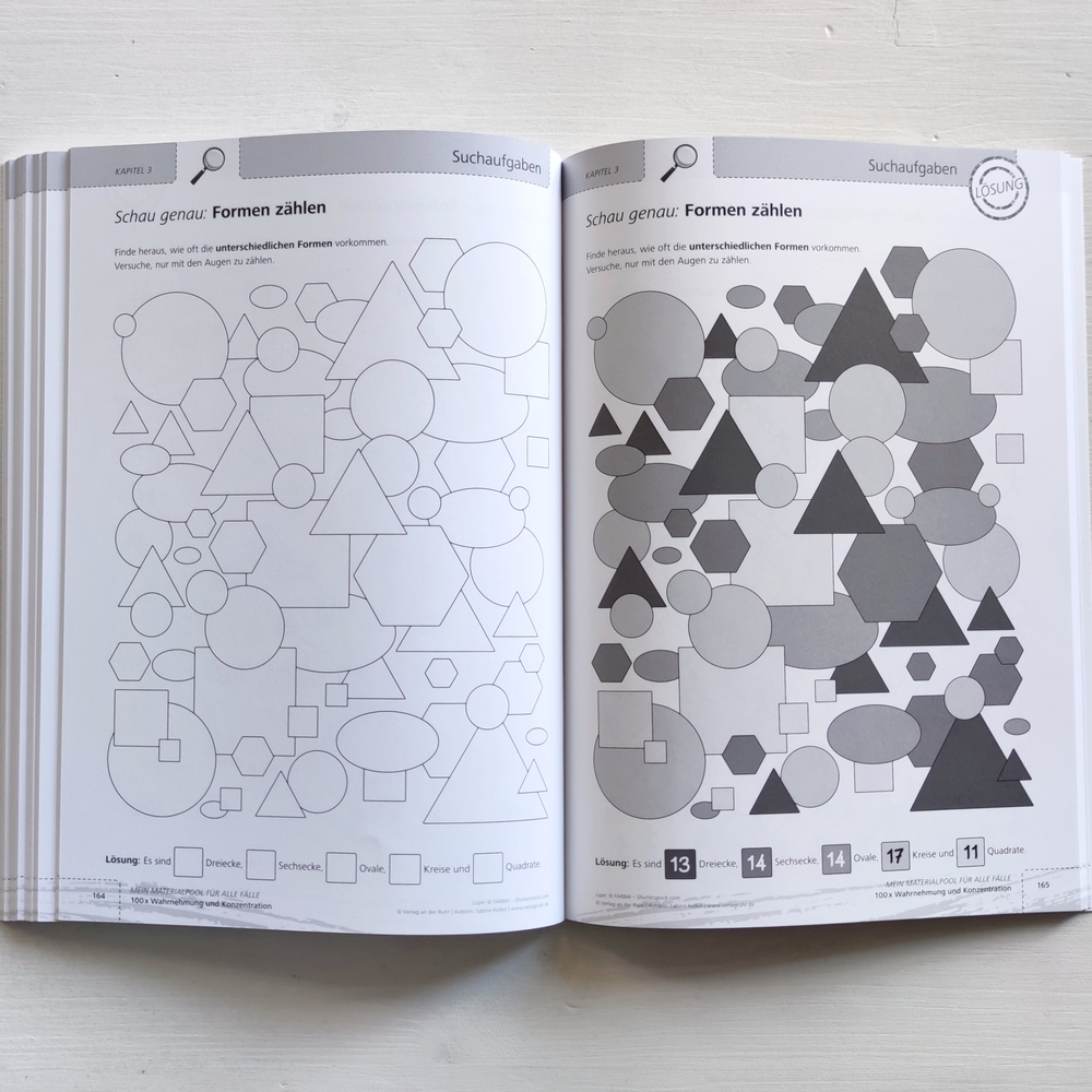 100 x Wahrnehmung und Konzentration 100 x Wahrnehmung und Konzentration