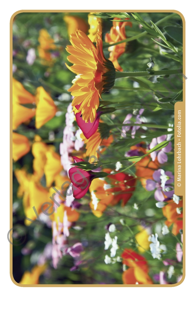 Natur und Umwelt Natur und Umwelt