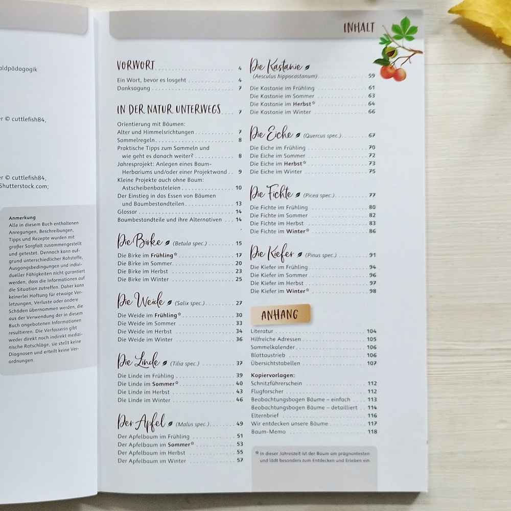 Apfel und Kastanie – Kinder erleben unsere Bäume Apfel und Kastanie – Kinder erleben unsere Bäume