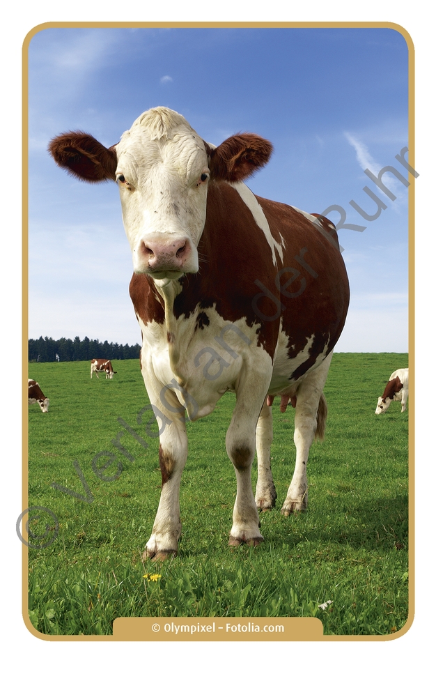 Natur und Umwelt Natur und Umwelt