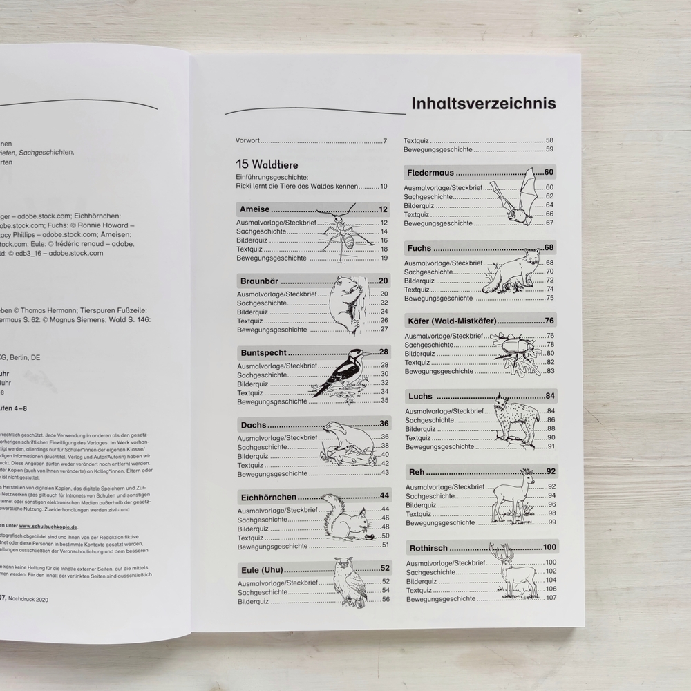 Kinder lernen Waldtiere kennen Kinder lernen Waldtiere kennen