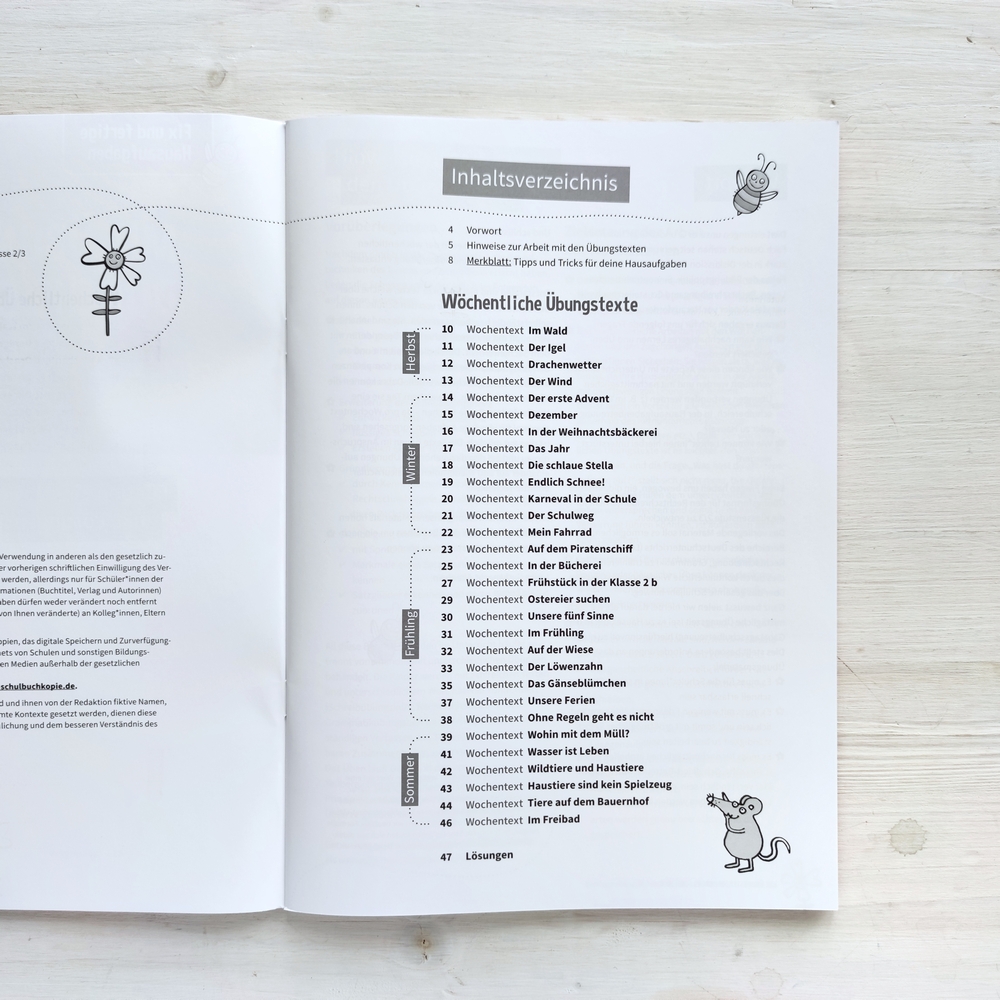 Mit Übungstexten durchs Schuljahr – Rechtschreibung, Grammatik & Co. sicher trainiert – Klasse 2/3