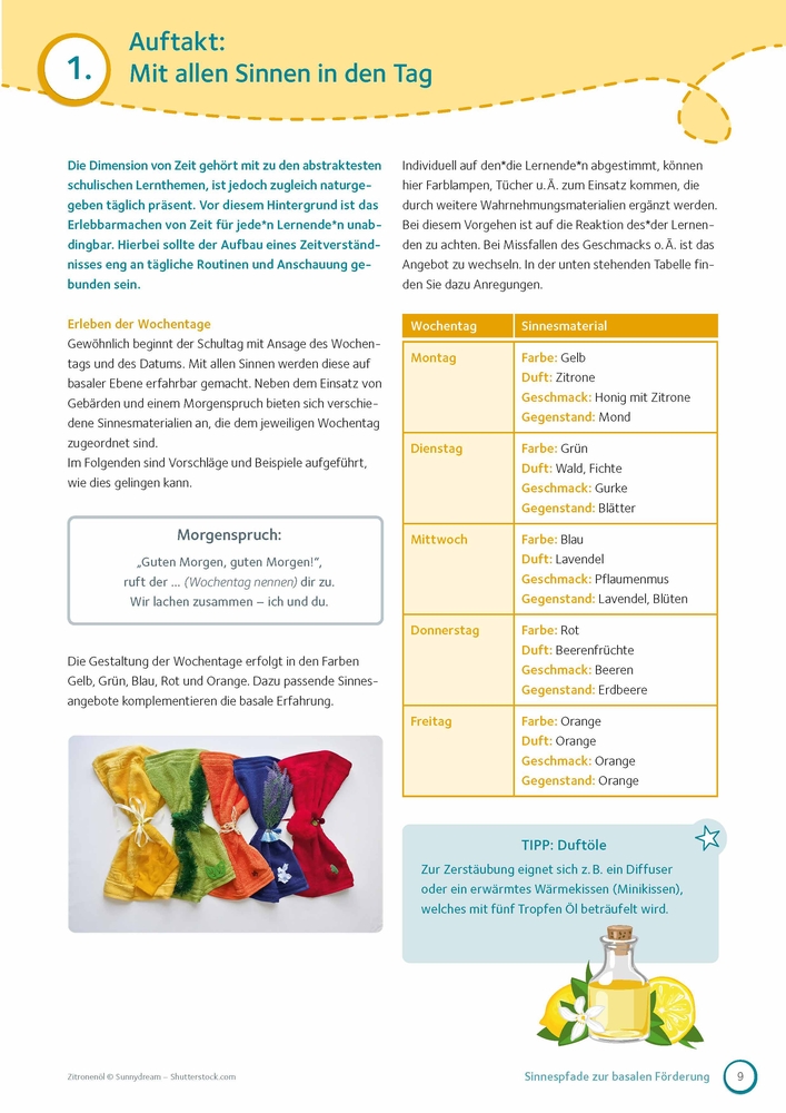 Sinnespfade zur basalen Förderung
