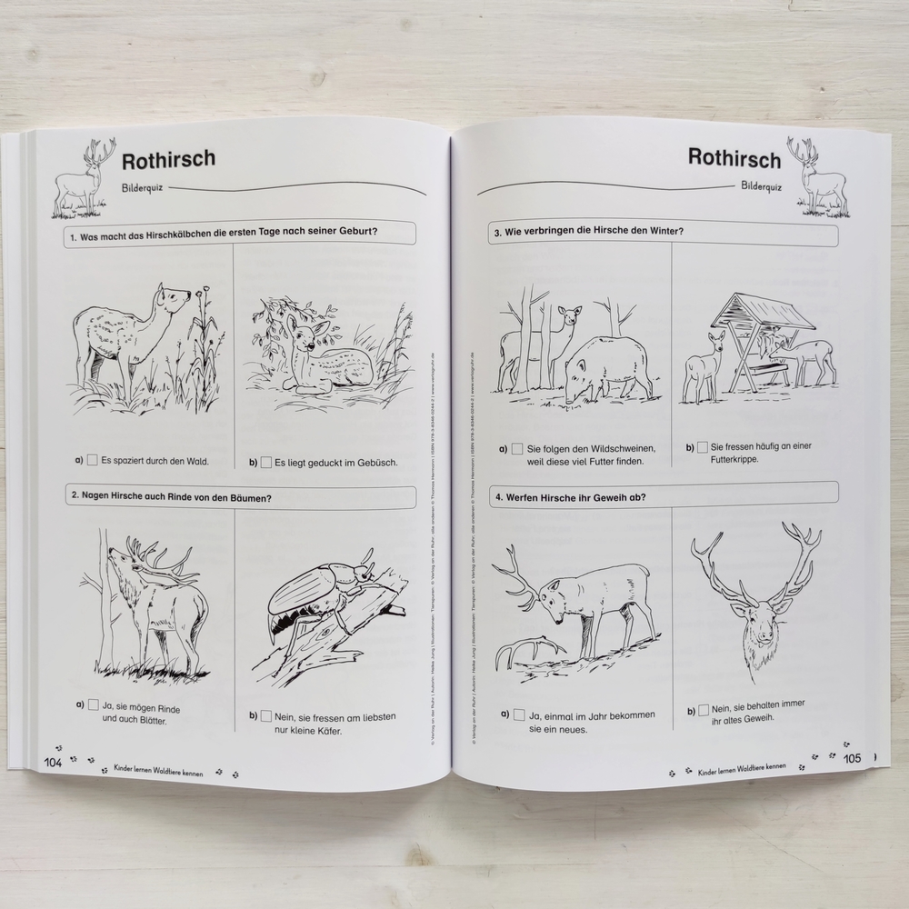 Kinder lernen Waldtiere kennen Kinder lernen Waldtiere kennen