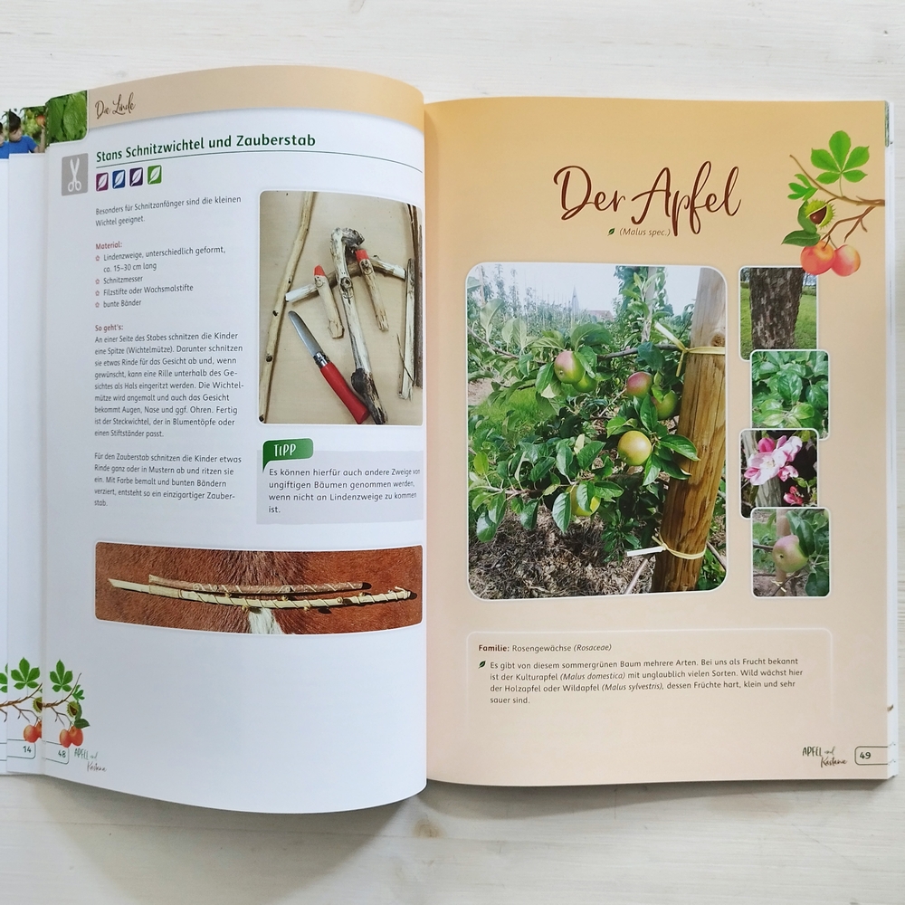 Apfel und Kastanie – Kinder erleben unsere Bäume Apfel und Kastanie – Kinder erleben unsere Bäume