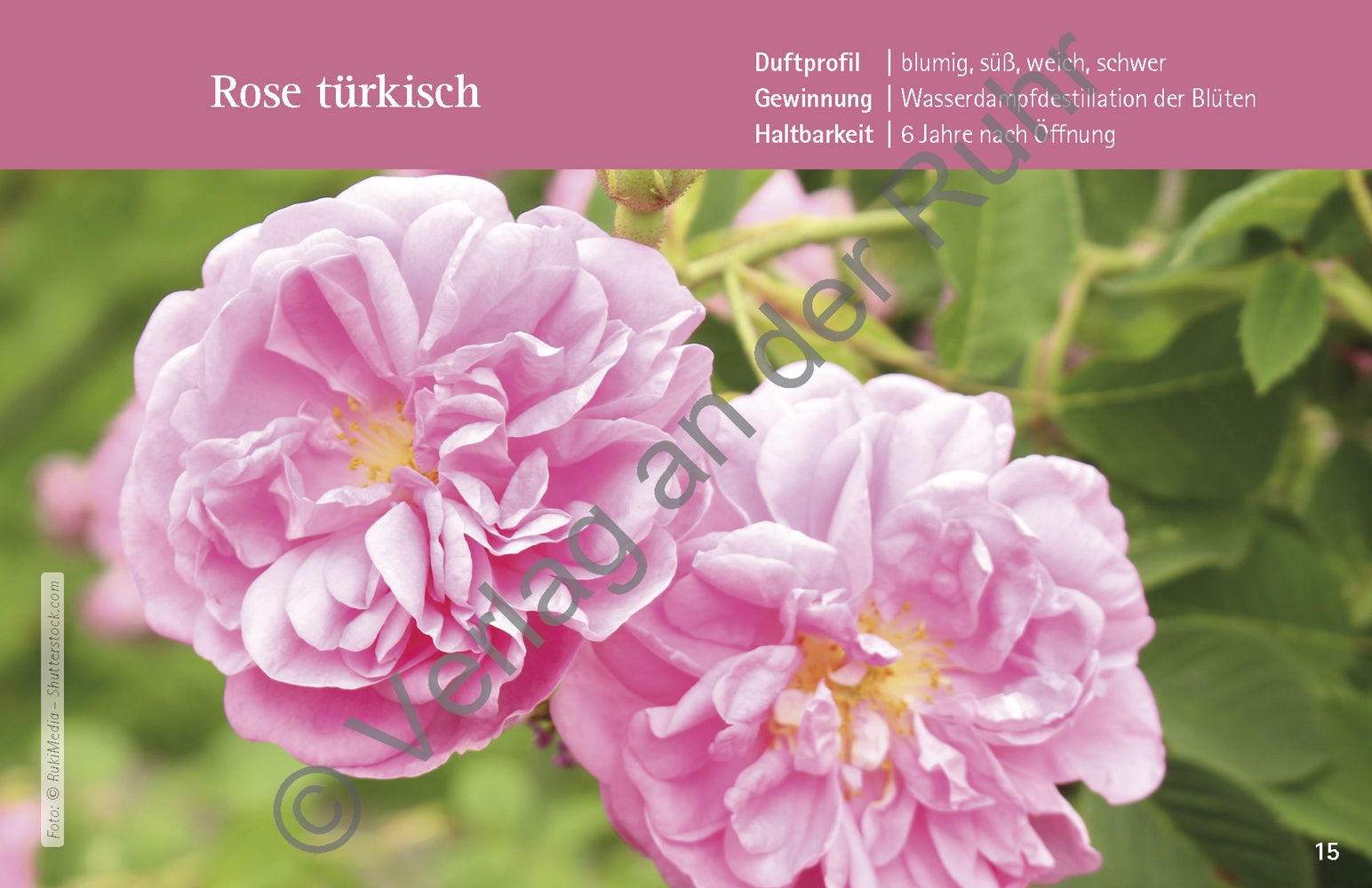 Basiswissen Ätherische Öle in der Aromapflege Basiswissen Ätherische Öle in der Aromapflege