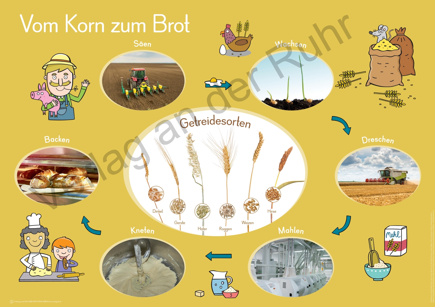 6 A1-Merk-Poster für den Sachunterricht – Jahreskreis, Körper, Waldtiere, Epochen, Kontinente, vom Korn zum Brot