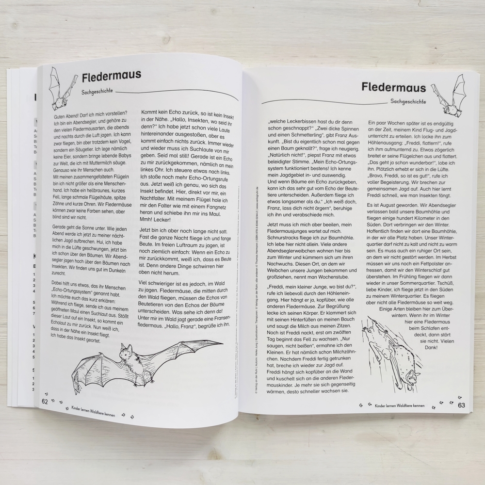 Kinder lernen Waldtiere kennen Kinder lernen Waldtiere kennen