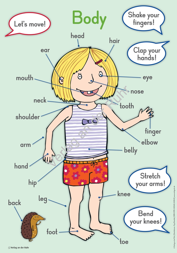 Englisch – Aufbauwissen Englisch – Aufbauwissen