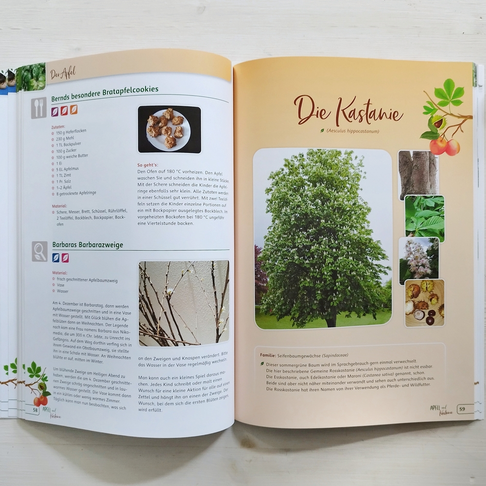 Apfel und Kastanie – Kinder erleben unsere Bäume Apfel und Kastanie – Kinder erleben unsere Bäume