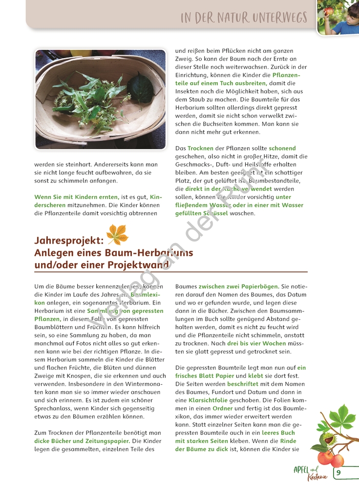 Paket: Heimische Bäume Paket: Heimische Bäume