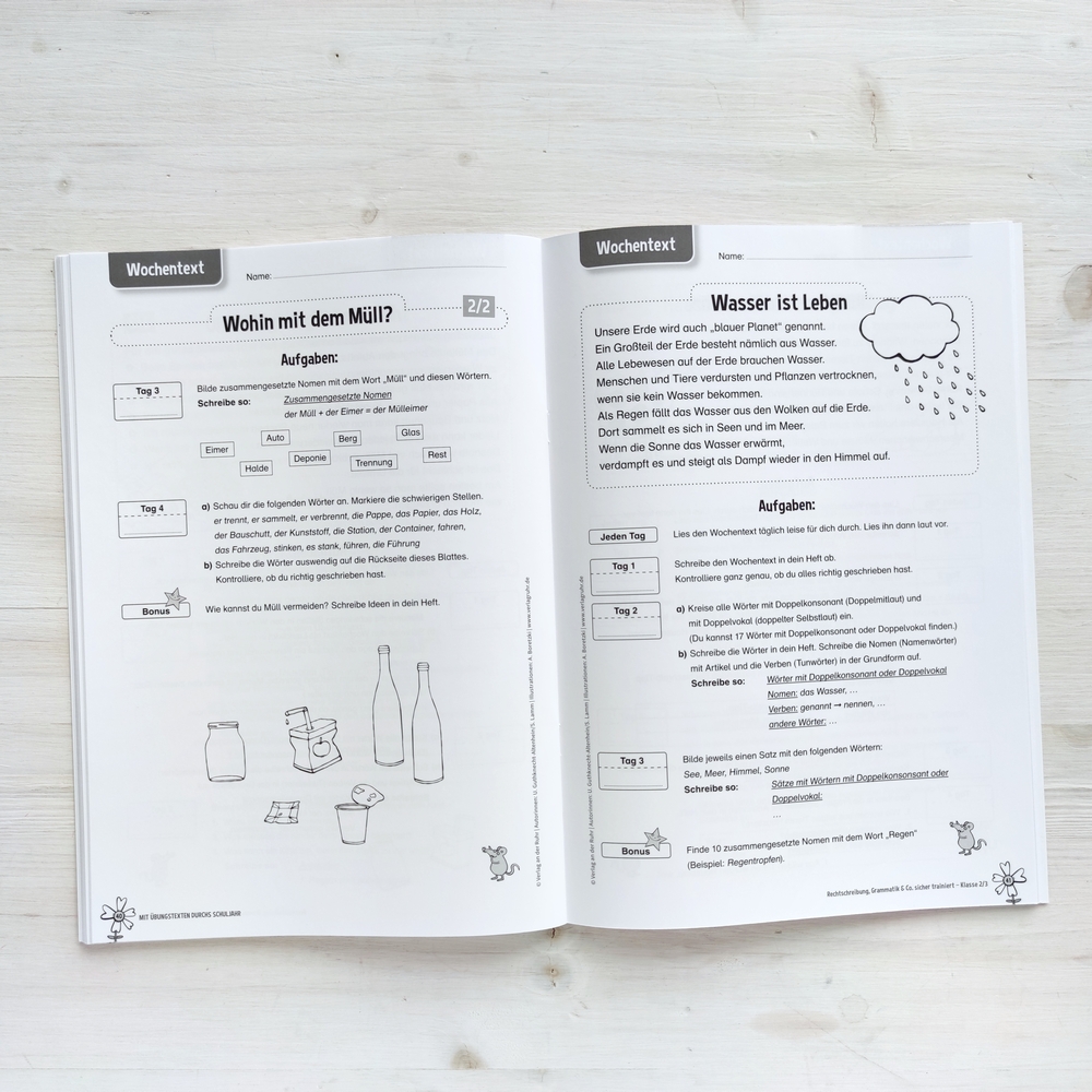 Mit Übungstexten durchs Schuljahr – Rechtschreibung, Grammatik & Co. sicher trainiert – Klasse 2/3