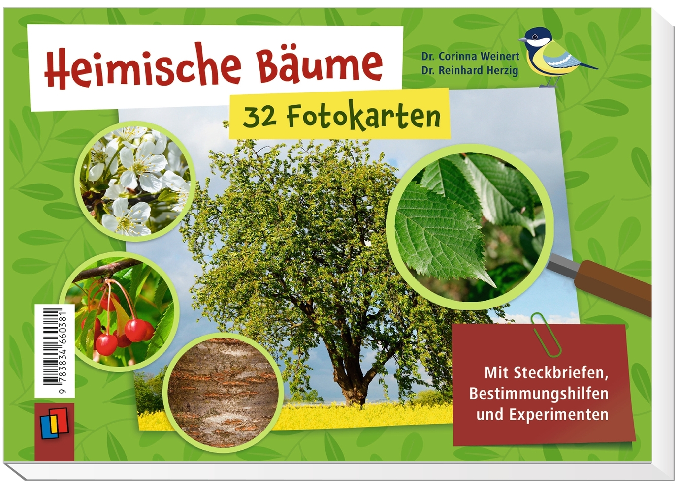 Heimische Bäume – 32 Fotokarten Heimische Bäume – 32 Fotokarten
