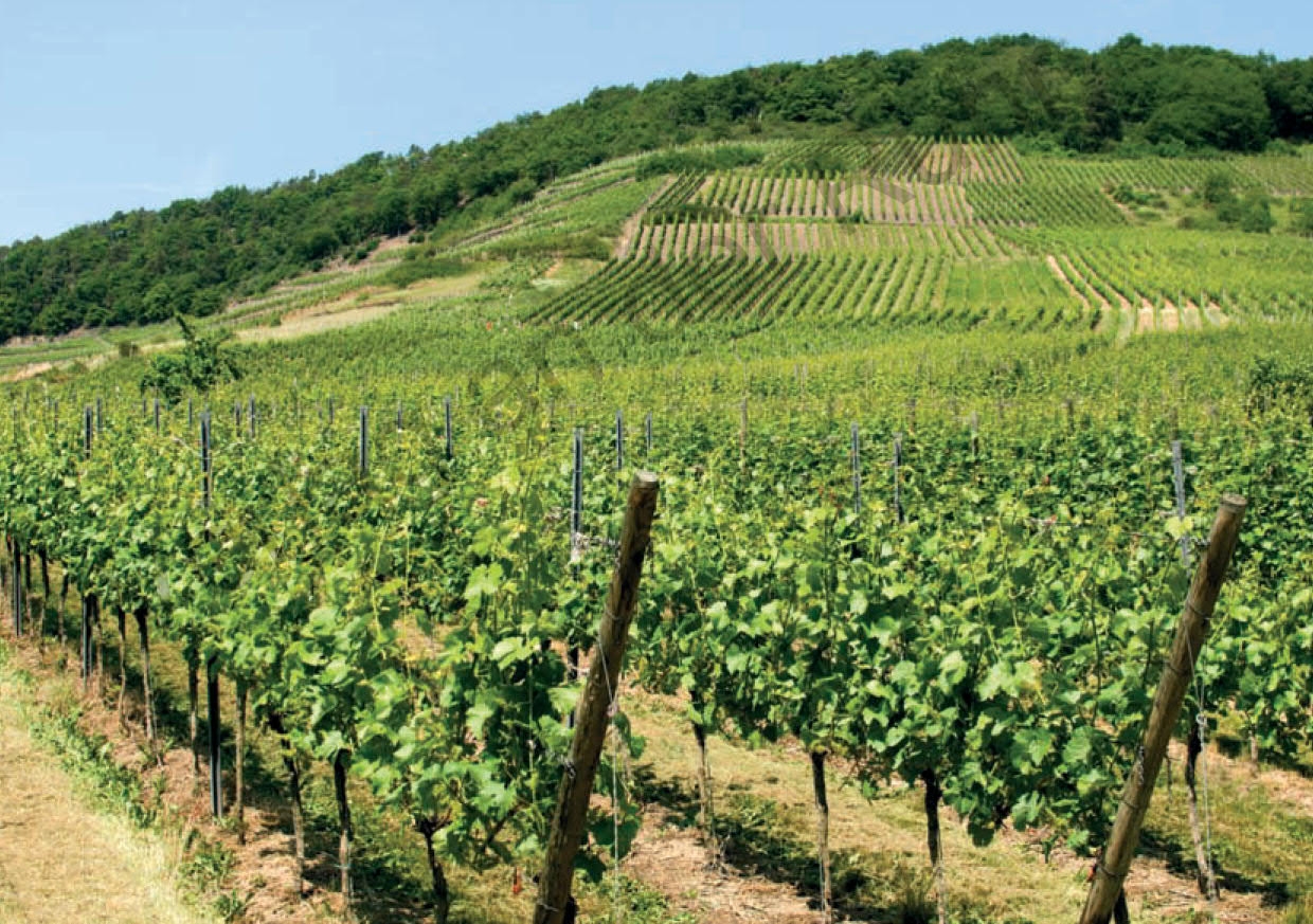 80 Bild-Impulse für Religion und Ethik 80 Bild-Impulse für Religion und Ethik