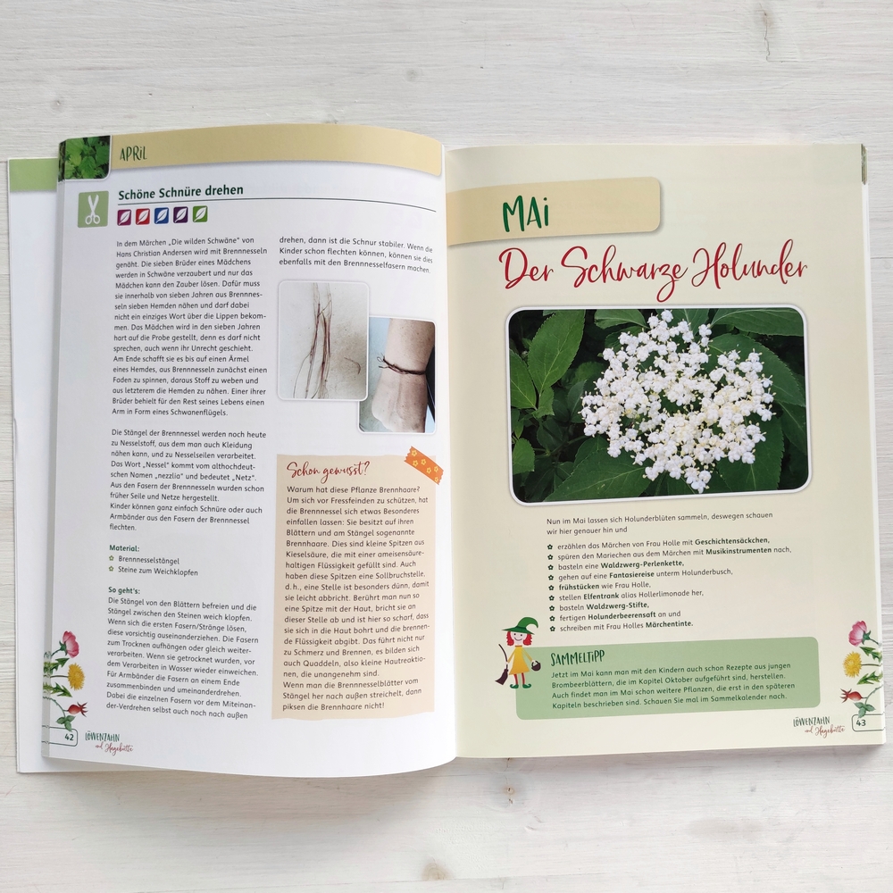 Löwenzahn und Hagebutte – Durch das Jahr mit 12 Wildpflanzen Löwenzahn und Hagebutte – Durch das Jahr mit 12 Wildpflanzen