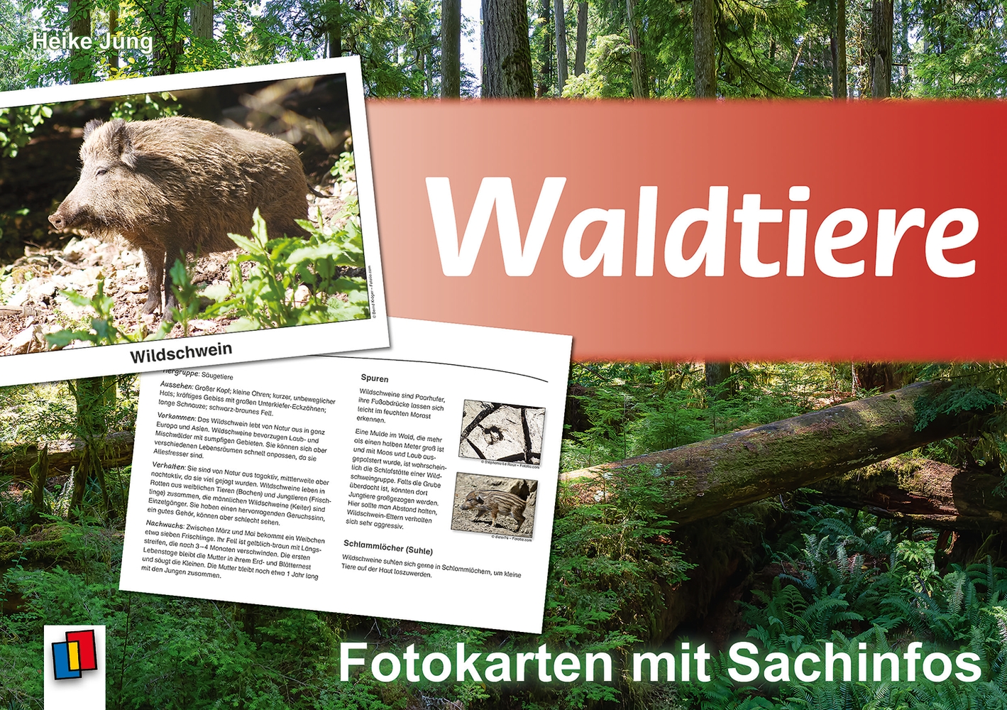 Waldtiere