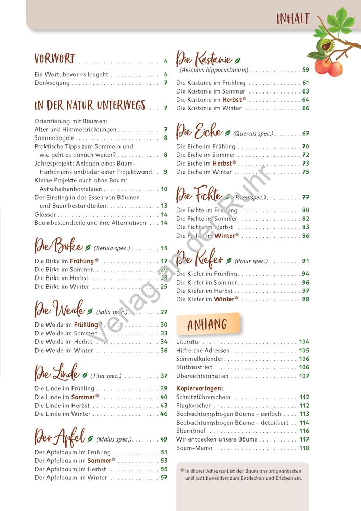 Paket: Heimische Bäume Paket: Heimische Bäume