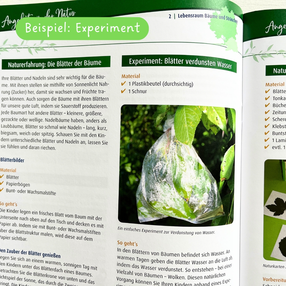 Komm mit raus, in der Natur kenn ich mich aus Komm mit raus, in der Natur kenn ich mich aus