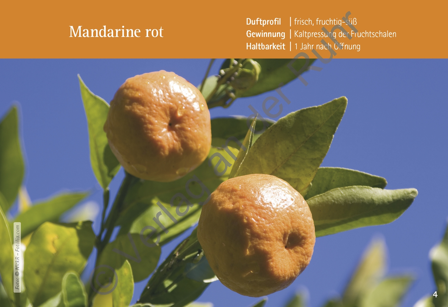 Basiswissen Ätherische Öle in der Aromapflege Basiswissen Ätherische Öle in der Aromapflege