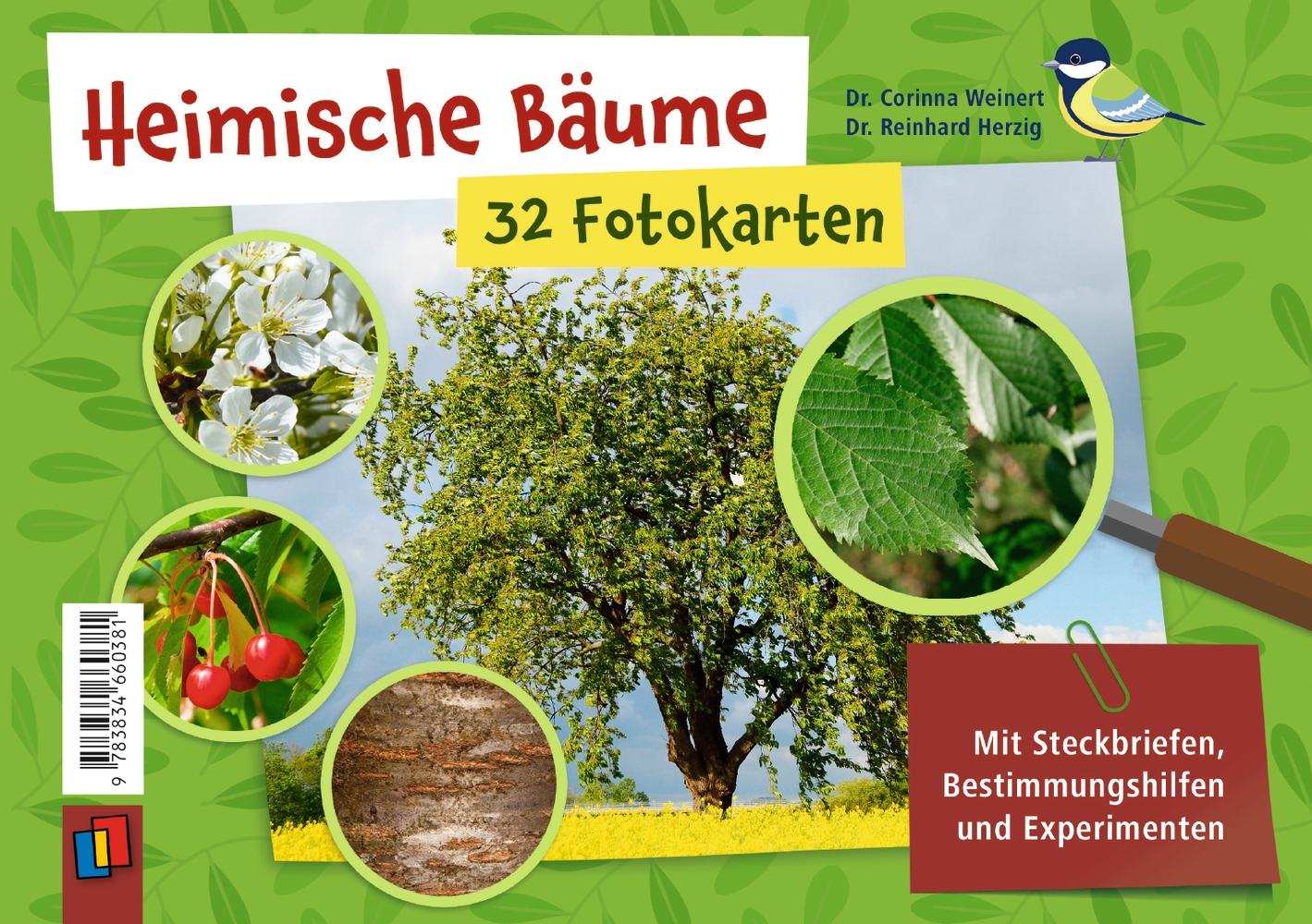 Heimische Bäume – 32 Fotokarten