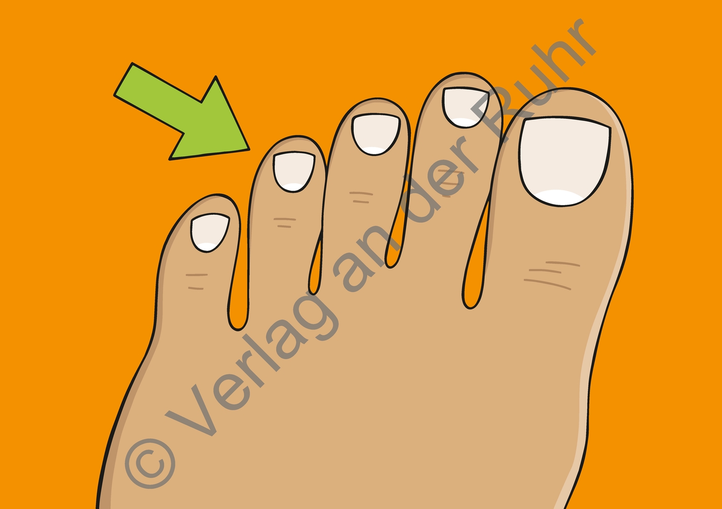 Mein Körper Mein Körper