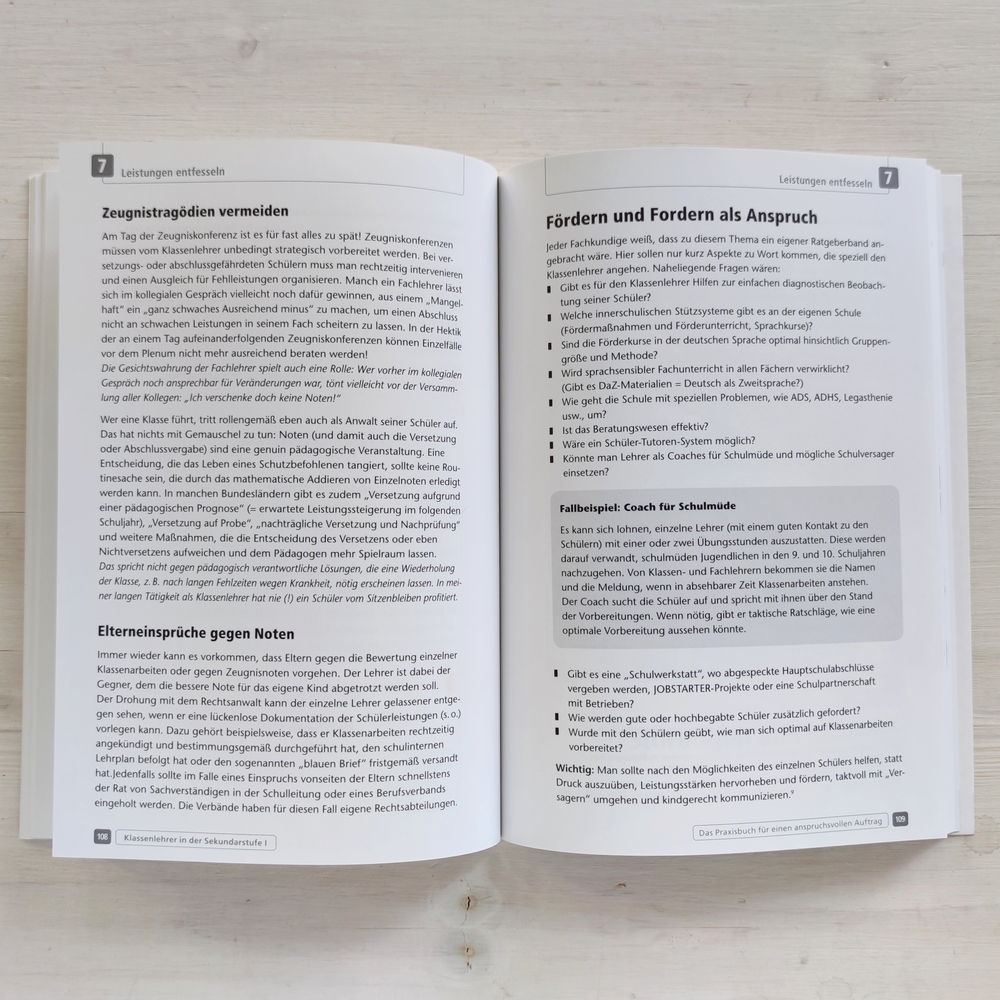 Klassenlehrer in der Sekundarstufe I