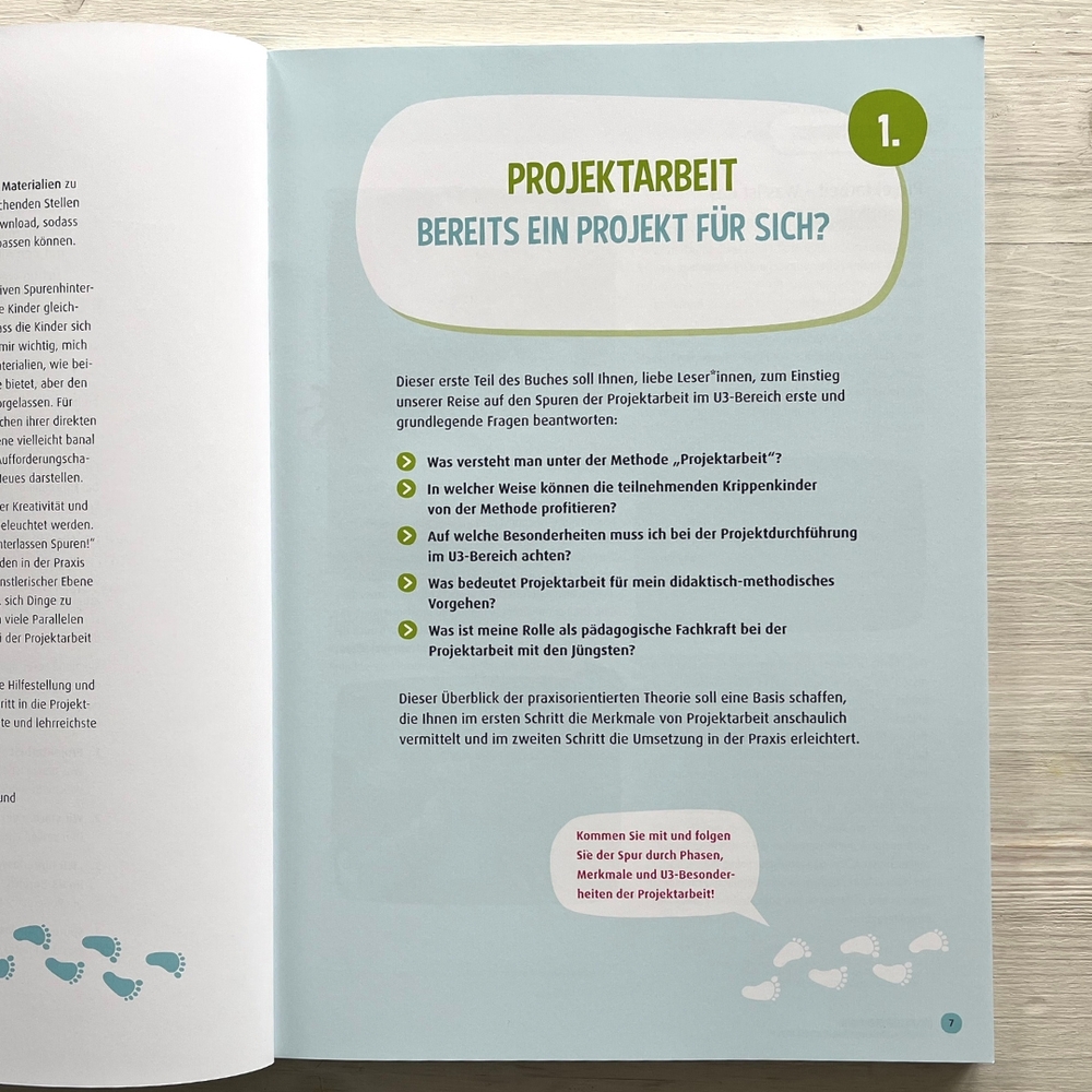 Projekte in der Krippe planen, durchführen und reflektieren Projekte in der Krippe planen, durchführen und reflektieren