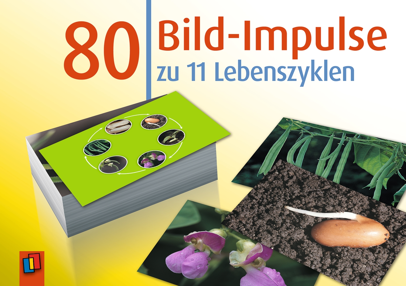 80 Bild-Impulse zu 11 Lebenszyklen