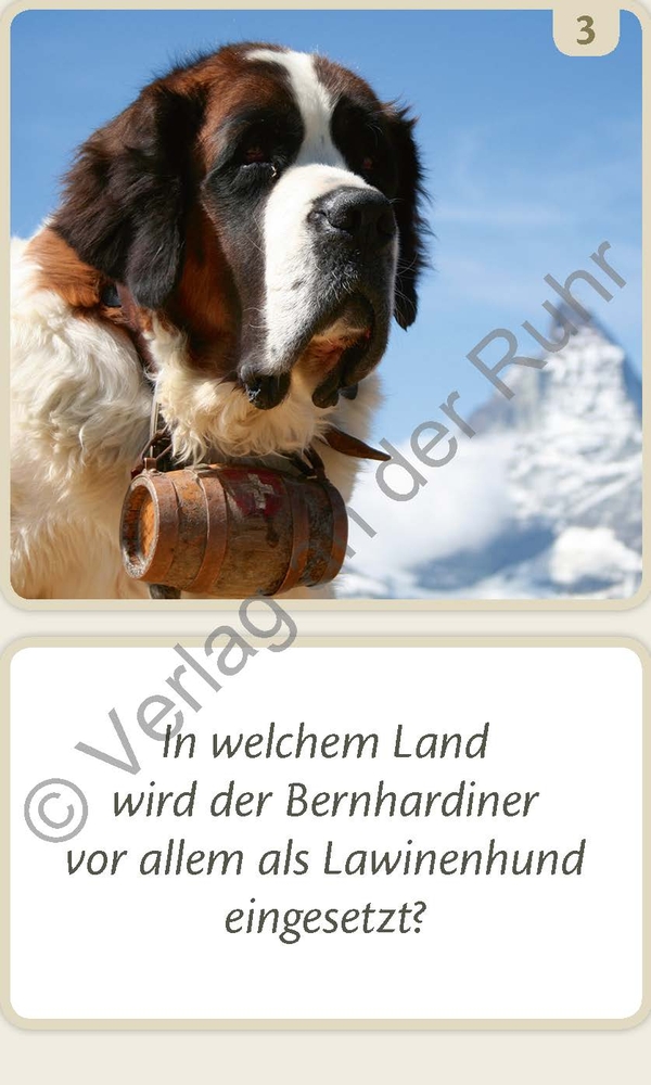 Länderrallye Länderrallye