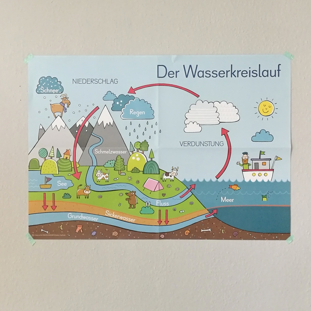 6 A1-Poster für den Sachunterricht: Deutschland, Europa, Wasserkreislauf, Sonnensystem, Bäume, Ernährungspyramide
