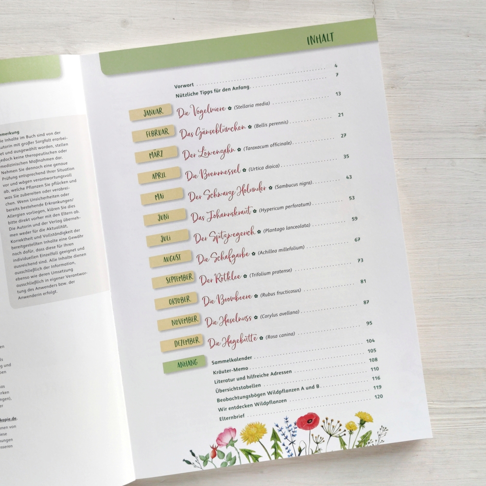 Löwenzahn und Hagebutte – Durch das Jahr mit 12 Wildpflanzen Löwenzahn und Hagebutte – Durch das Jahr mit 12 Wildpflanzen