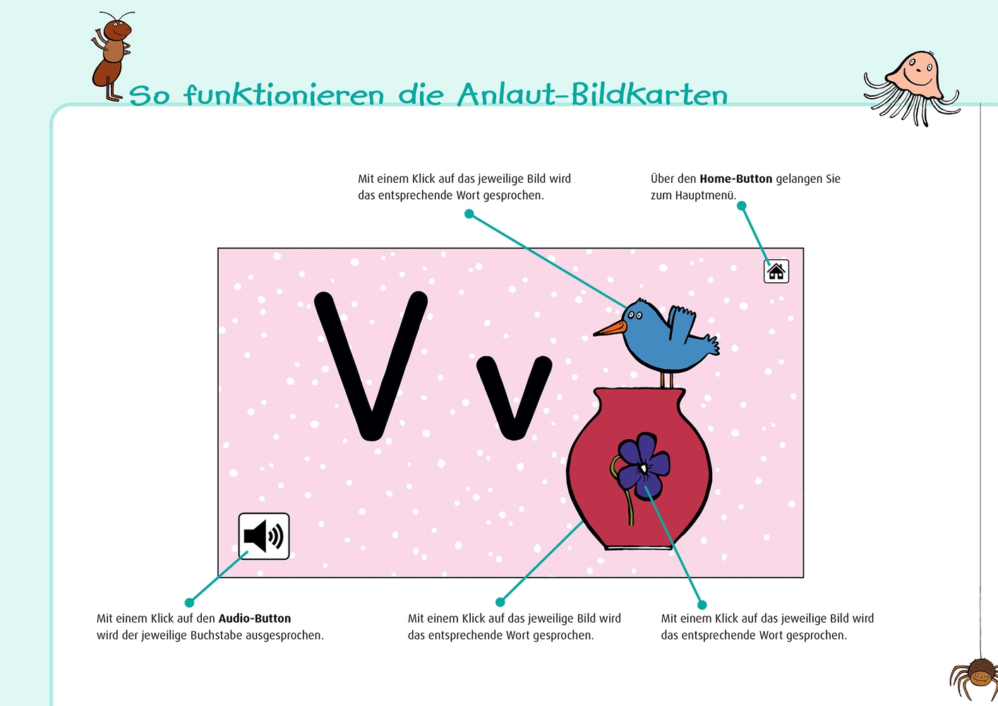 40 digitale Anlaut-Bildkarten – Pro-Lizenz – Mac