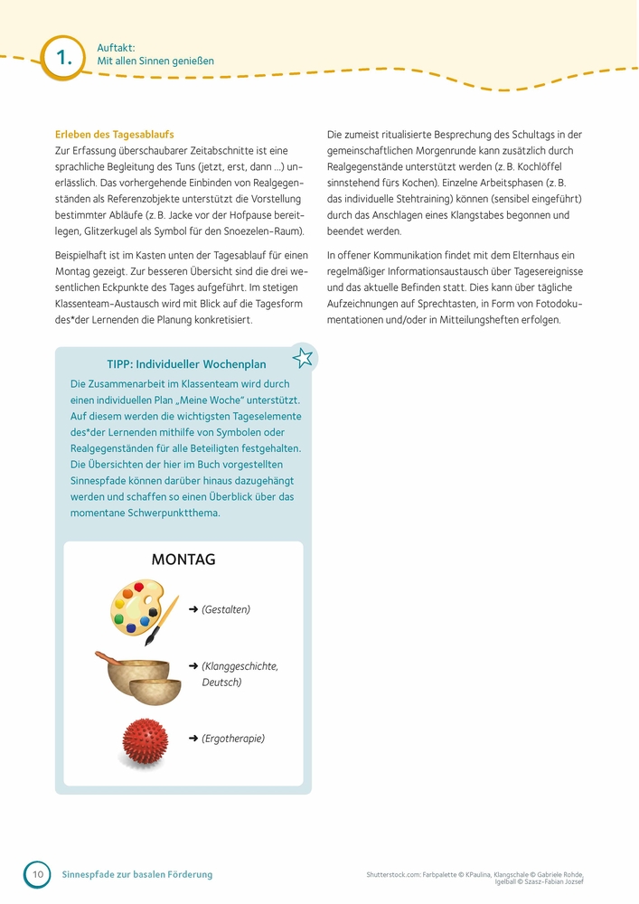 Sinnespfade zur basalen Förderung