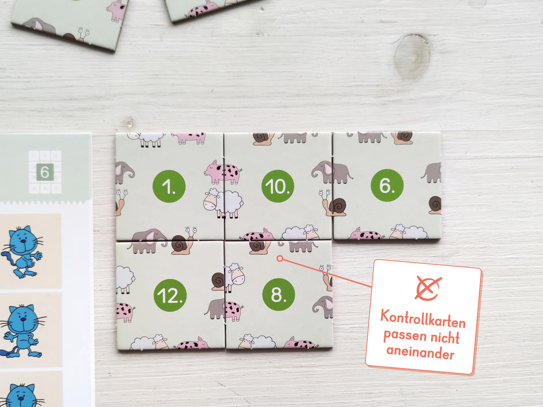 Beispiel für nicht passende Kontrollkarte mit abweichenden Mustern