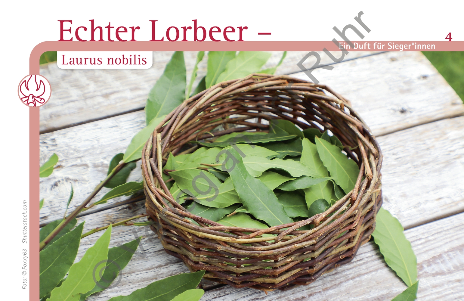 Aromapflege für Menschen mit Demenz Aromapflege für Menschen mit Demenz