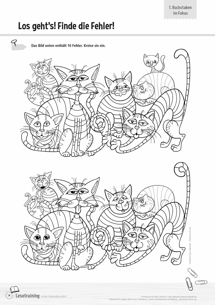 Lesetraining in der Sekundarstufe I