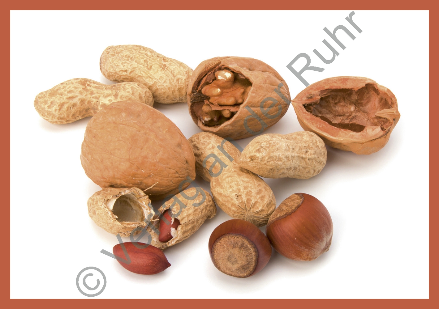 Grundwortschatz – Obst und Gemüse Grundwortschatz – Obst und Gemüse