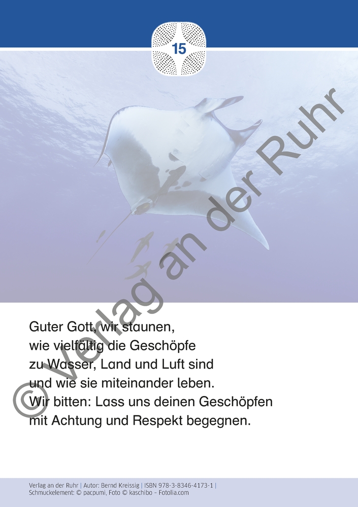 Staunen über die Schöpfung – 40 Gebetskarten mit Naturfotografien Staunen über die Schöpfung – 40 Gebetskarten mit Naturfotografien