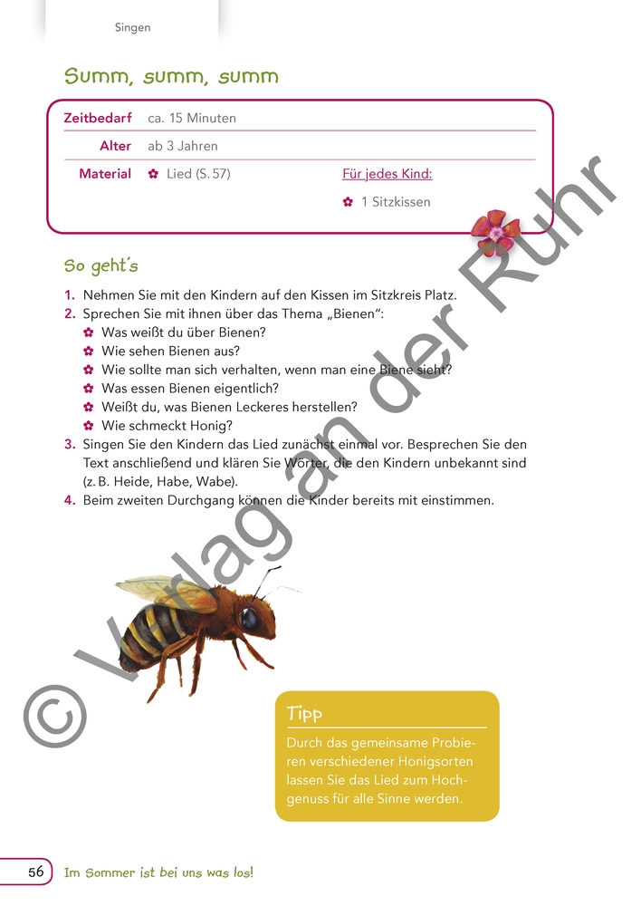 Im Sommer ist bei uns was los! Im Sommer ist bei uns was los!