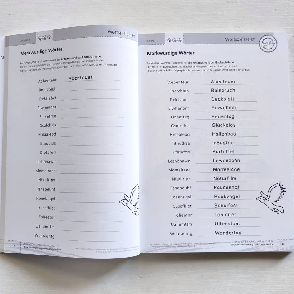 100 x Wahrnehmung und Konzentration 100 x Wahrnehmung und Konzentration
