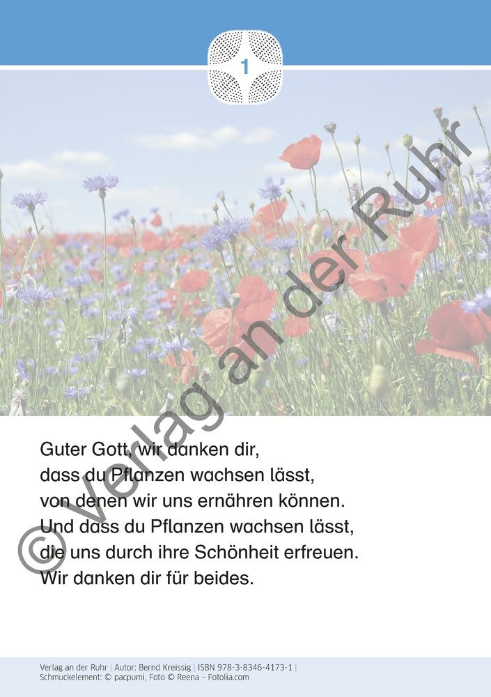 Staunen über die Schöpfung – 40 Gebetskarten mit Naturfotografien Staunen über die Schöpfung – 40 Gebetskarten mit Naturfotografien