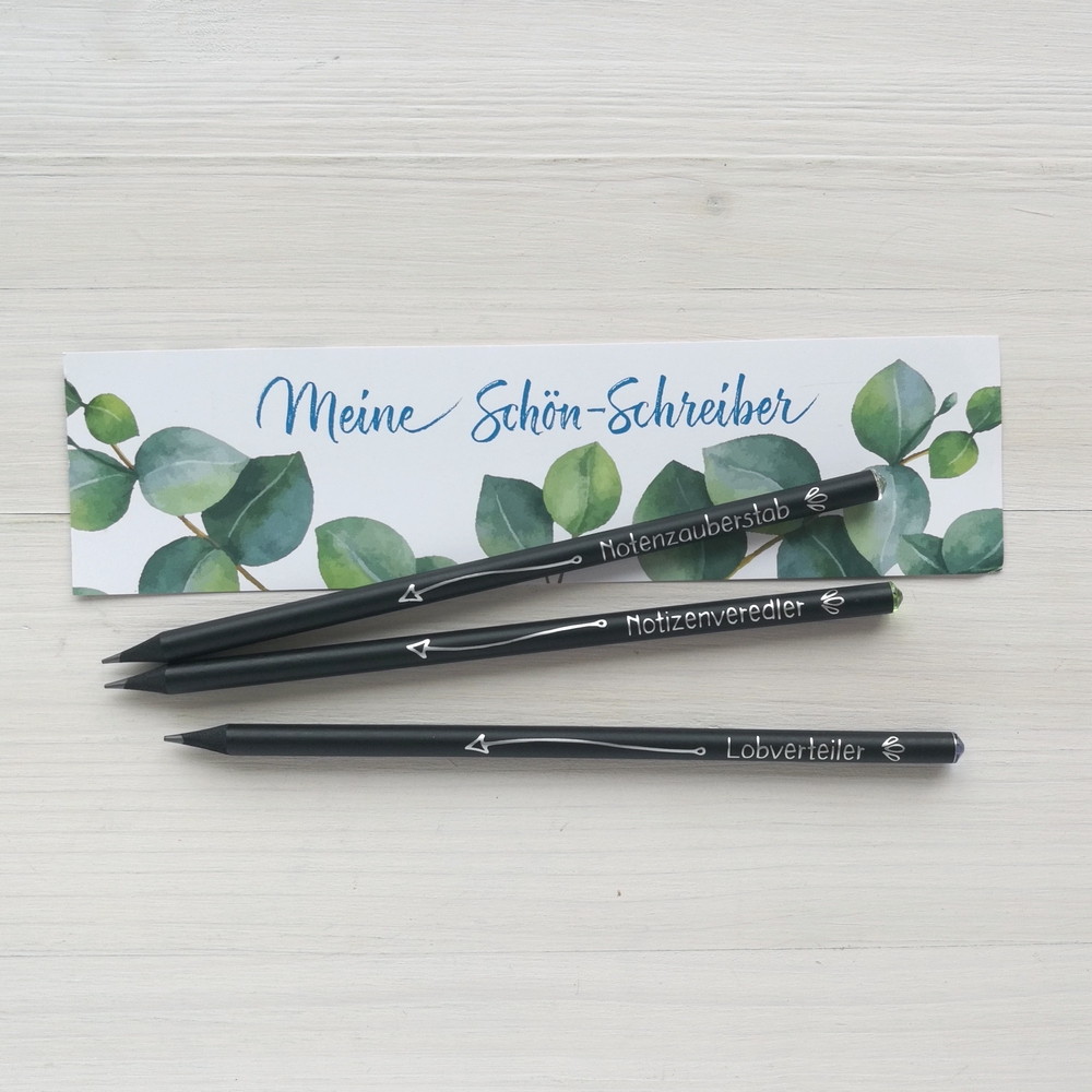 Meine Schön-Schreiber Meine Schön-Schreiber