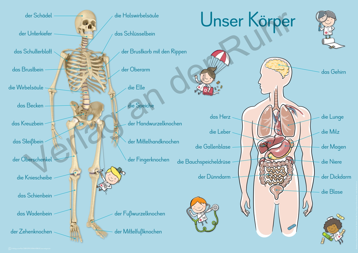 6 A1-Merk-Poster für den Sachunterricht – Jahreskreis, Körper, Waldtiere, Epochen, Kontinente, vom Korn zum Brot