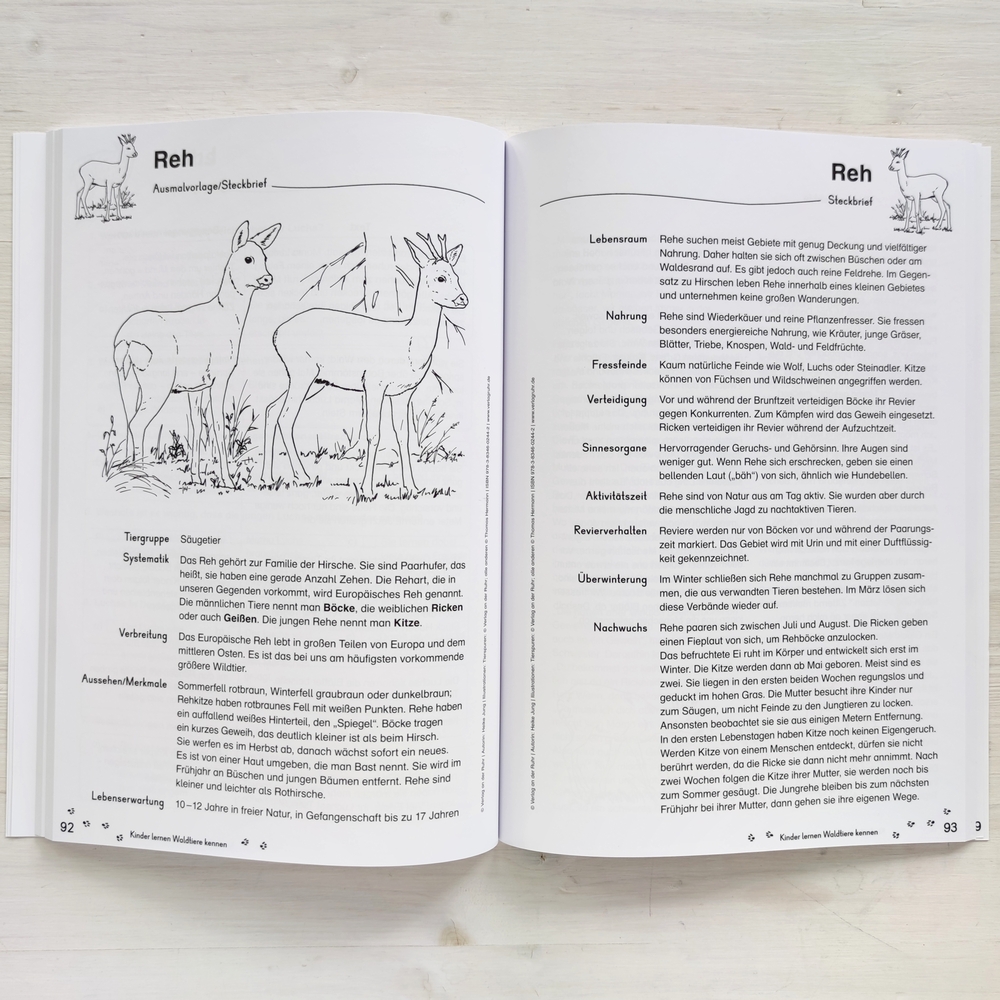 Kinder lernen Waldtiere kennen Kinder lernen Waldtiere kennen