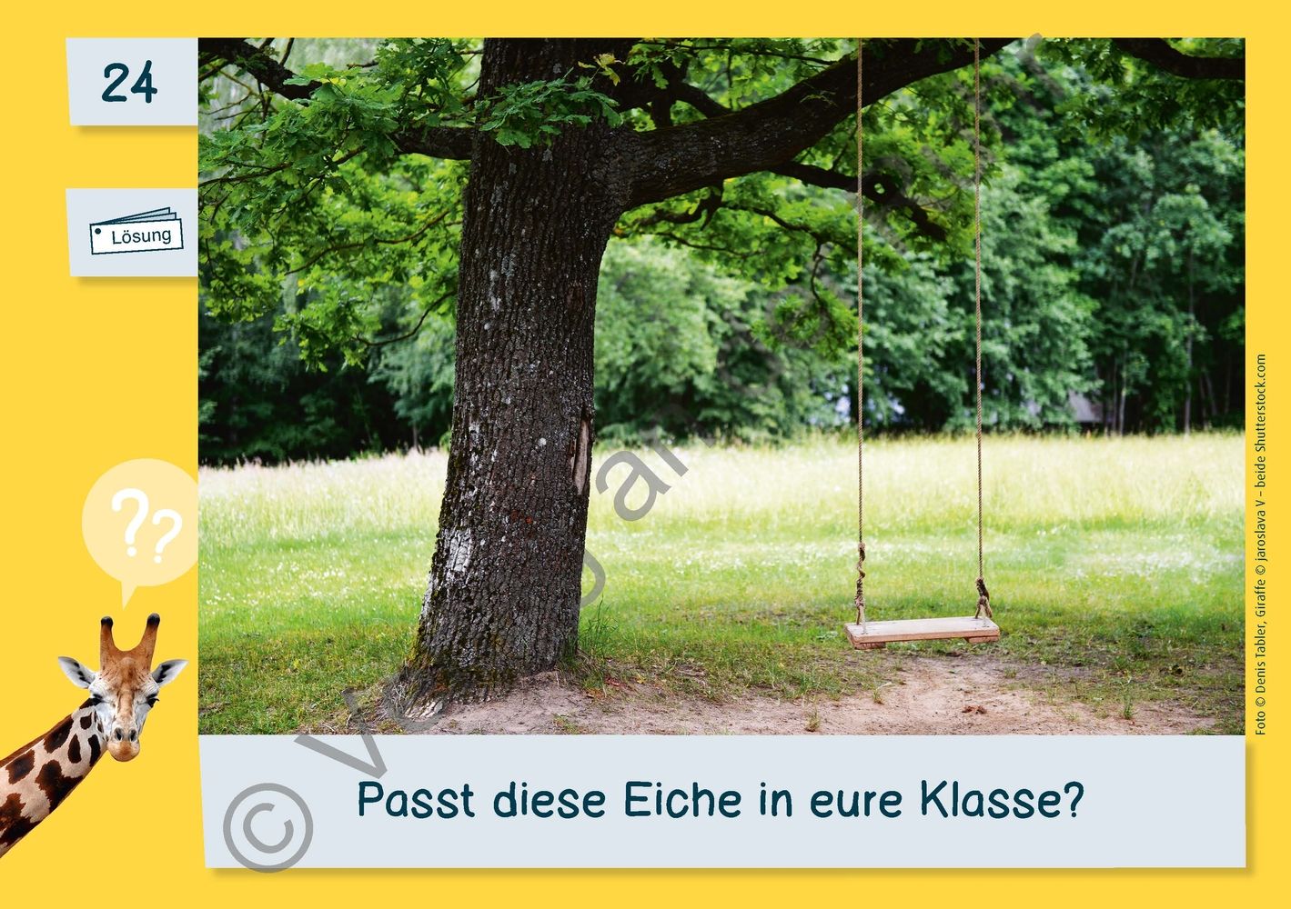 Die FermiKartei Kl. 13