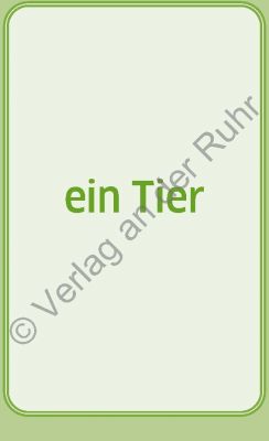 Stadt, Land, Fluss - Senioren-Edition